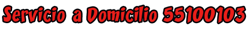 Servicio a domicilio INDELEC